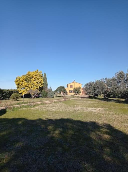 Вилла La Casina Di Campagna Tra Cecina E Bibbona Экстерьер фото