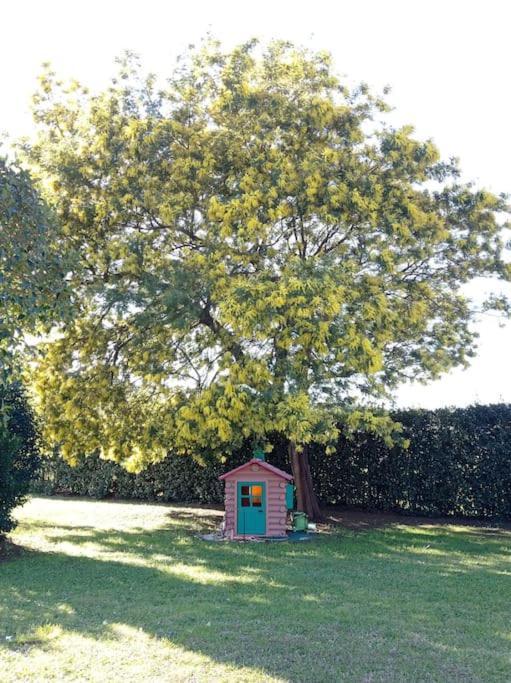 Вилла La Casina Di Campagna Tra Cecina E Bibbona Экстерьер фото