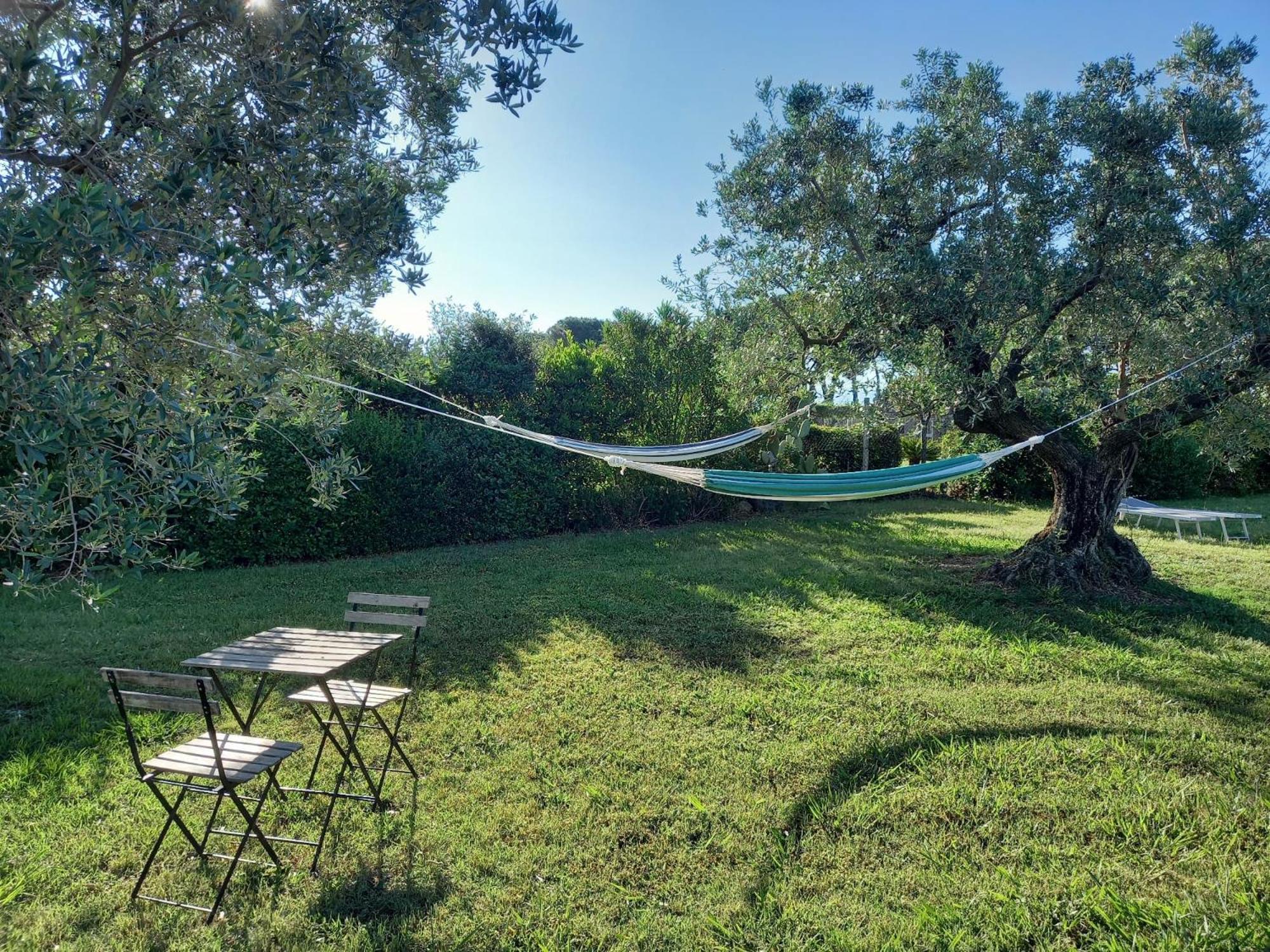 Вилла La Casina Di Campagna Tra Cecina E Bibbona Экстерьер фото