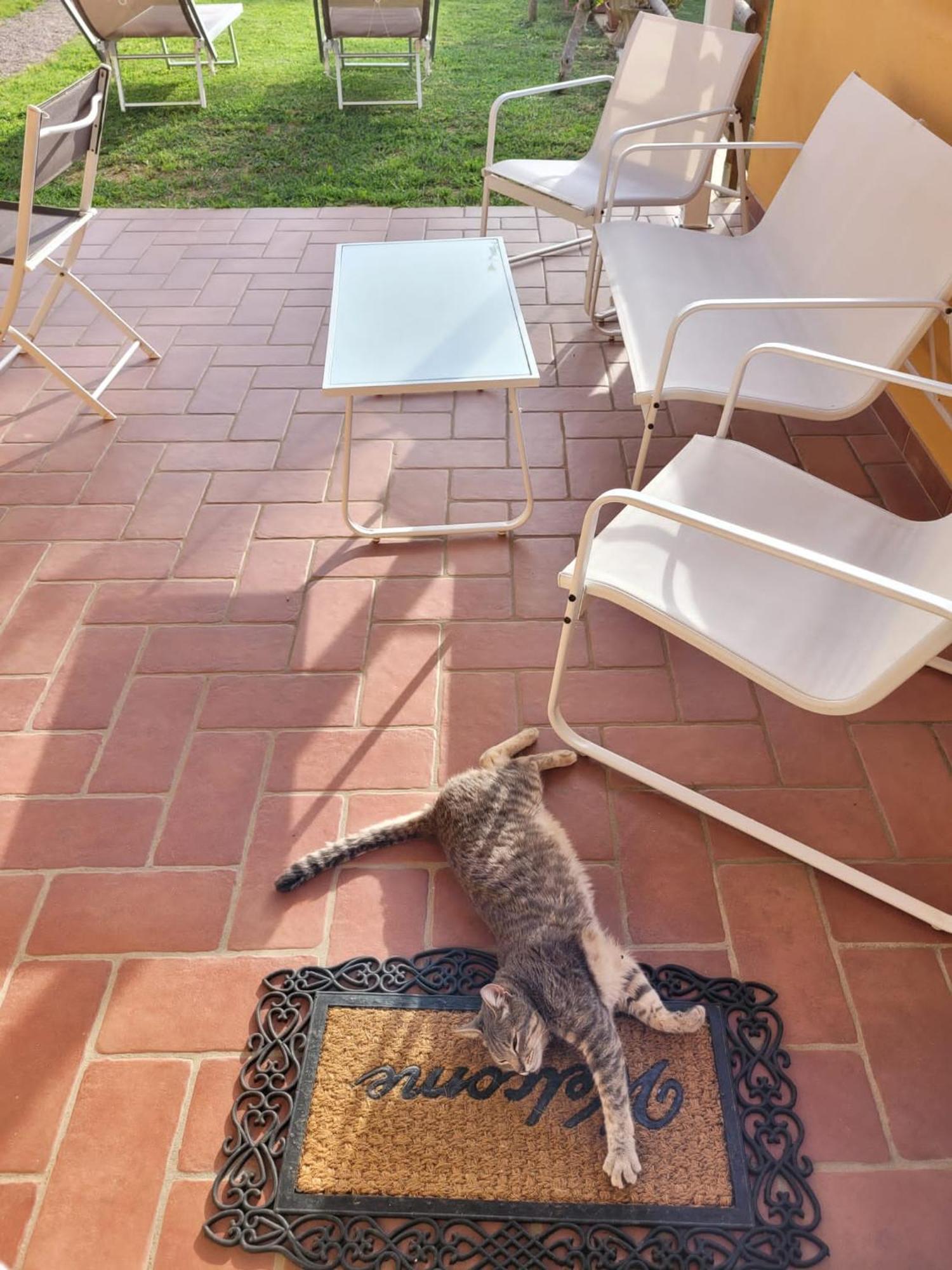 Вилла La Casina Di Campagna Tra Cecina E Bibbona Экстерьер фото